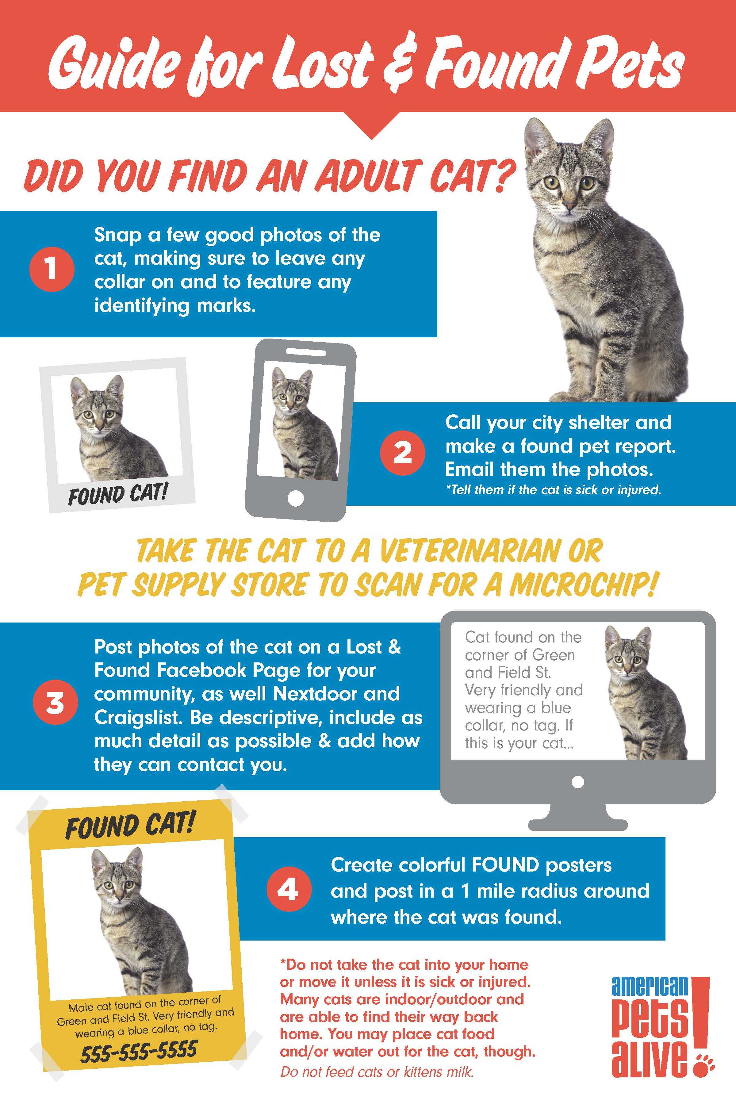 Guide for Lost and Found Cats