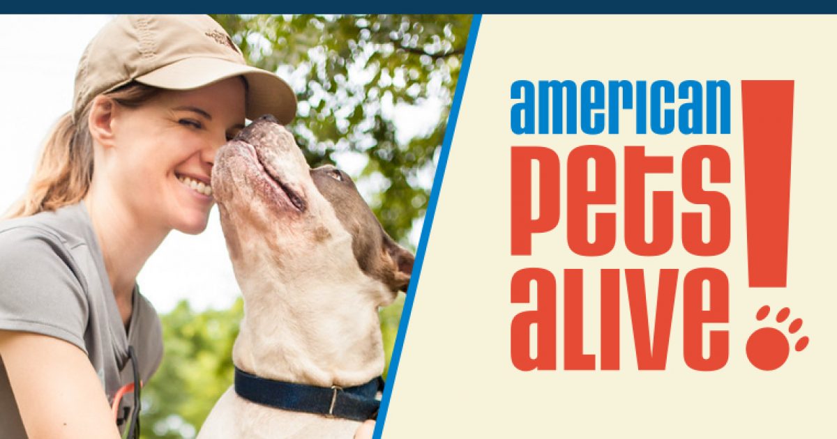 American Pets Alive!