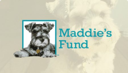 Maddies-fund